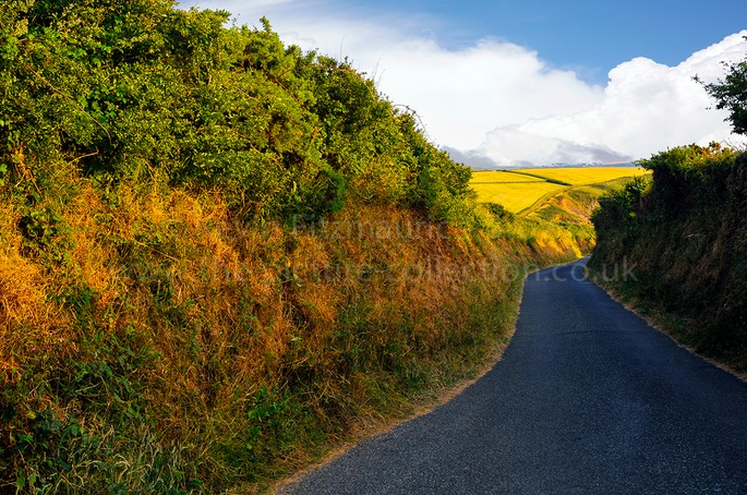 COLOURFUL COUNTRY LANE WALES
