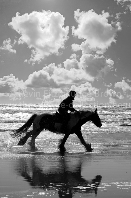 HORSERIDER ON THE BEACH